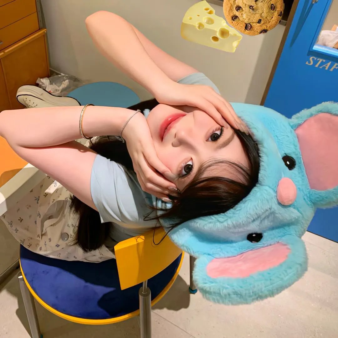 小老鼠历险记